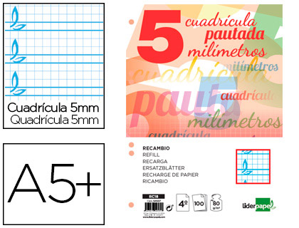 RECAMBIO LIDERPAPEL CUARTO PAUTAGUIA 100 HOJAS 80 G CUADRICULADO PAUTADO 5 MM CON MARGEN 6 TALADROS