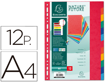 [1412E] SEPARADOR EXACOMPTA CARTULINA SIMIL PRESPAN JUEGO DE 12 SEPARADORES DIN A4 MULTITALADRO COLORES VIVOS