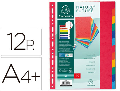 [2412E] SEPARADOR EXACOMPTA CARTULINA SIMIL PRESPAN JUEGO DE 12 SEPARADORES DIN A4+ MULTITALADRO COLORES VIVOS