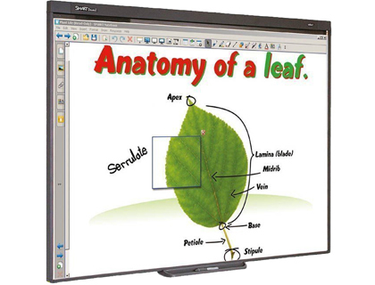 [PACK SB480 BASICO] PIZARRA INTERACTIVA SB480 77\" CON PROYECTOR Y SOPORTE